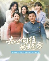 去心向往的地方 高清封面