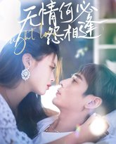 无情何必怨相逢 封面