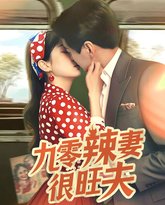 九零辣妻很旺夫 高清封面