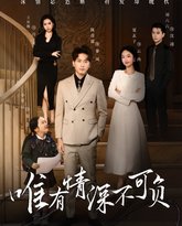 唯有深情不可负 高清封面