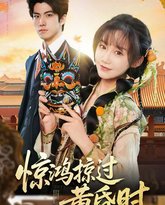 惊鸿掠过黄昏时 高清封面