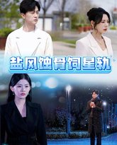 盐风蚀骨饲星轨 高清封面