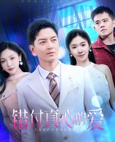 错付真心的爱 高清封面