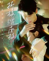 折枝赠南枝 高清封面