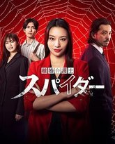 离婚律师蜘蛛 抚恤金争夺篇 第三季 封面