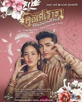 兄长，我是鹅不是天鹅 封面