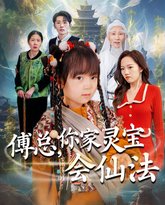 傅总你家灵宝会仙法（傅家灵宝会仙法） 高清封面