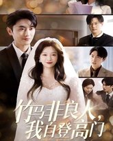 竹马非良人，我自登高门 封面
