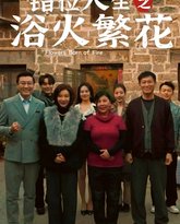 错位人生之浴火繁花 高清封面