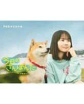 今日份的散步 封面