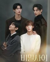 秘密关系 高清封面