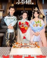 将军府来了个小厨娘之落难千金 封面