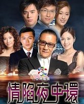 情陷夜中环 封面