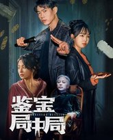 鉴宝局中局 高清封面
