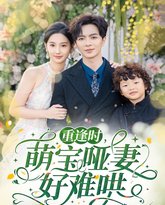 重逢时萌宝哑妻好难哄 高清封面
