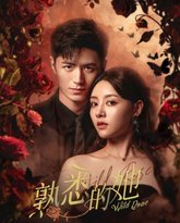 熟悉的她 高清封面