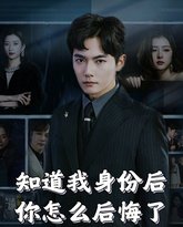 知道我身份后你怎么后悔了 高清封面
