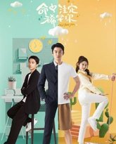 命中注定稀罕你 封面