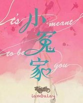 我的媳妇不好惹 封面