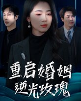 重启婚姻逆光玫瑰 高清封面
