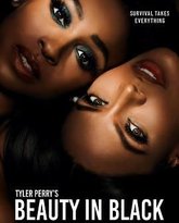 黑色丽人 高清封面