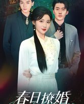 春日撩婚 高清封面