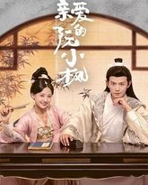 亲爱的阮小枫 封面