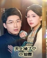 天上掉了个小仙妻(天上掉下个小仙女) 高清封面