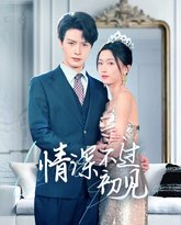 情深不过初见 高清封面