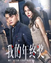 我的年终奖 高清封面