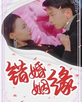 错嫁姻缘 高清封面