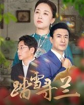 踏雪寻兰 高清封面