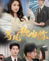 等风热吻你（等风来吻你） 泰剧封面