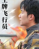 王牌飞行员 高清封面