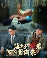 落地为兄弟，何必骨肉亲 封面