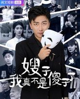 嫂子我真不是傻子了 高清封面