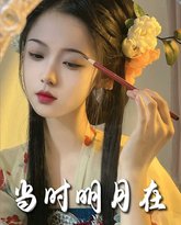 明月照南星（当时明月在） 高清封面