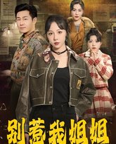 别惹我姐姐 高清封面