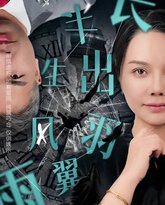 半生风雨长出羽翼 高清封面