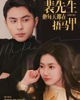 裴先生他每天都在捂马甲 高清封面