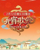 2025安徽卫视元宵晚会 泰剧封面