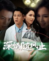 深情随风止 高清封面