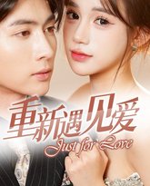 重新遇见爱（换婚后我成了大哥的心尖宠） 高清封面