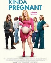 肚假情真 高清封面