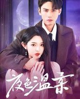 夜色温柔 高清封面