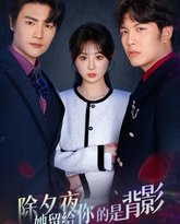 除夕夜她留给你的是背影 高清封面