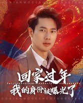 回家过年我的身份被曝光了 高清封面