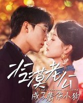 冷漠老公成了悲伤小狗 高清封面