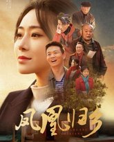 凤凰归乡 高清封面