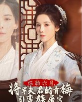 怀胎六月，将军夫君的青梅引蛮族屠宫-霜雪千年 高清封面